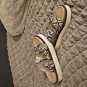 SNAKE PLATFORM SLIDES